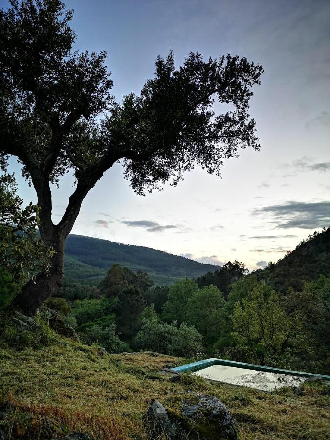 Monte Das Cascatas Marvão Esterno foto